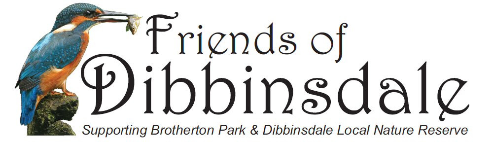 Friends of Dibbinsdale logo