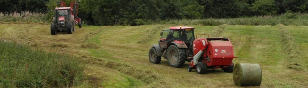 Friends of Dibbinsdale